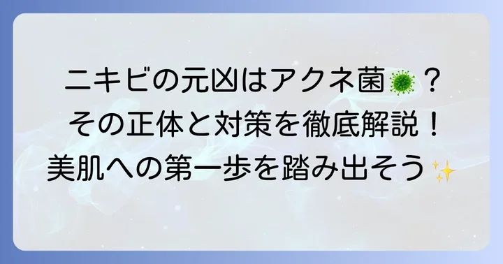 アクネ菌とは?ニキビができるメカニズムを理解しよう