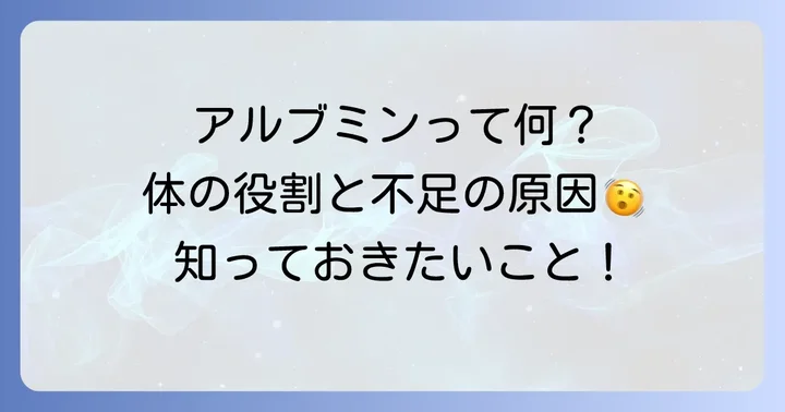 アルブミンとは?体での重要な役割と低くなる原因