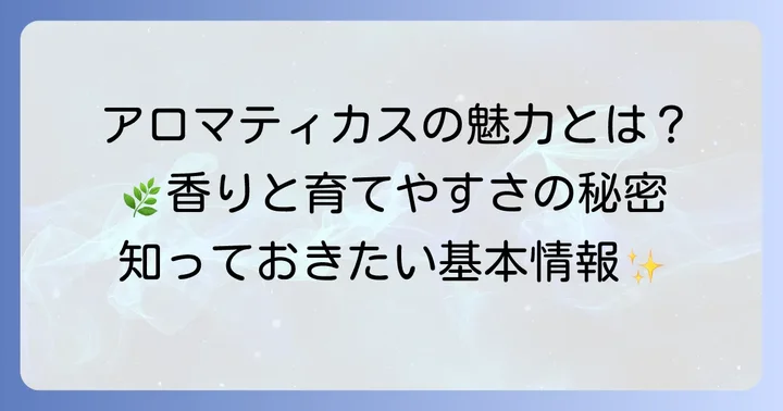 アロマティカスとは?魅力と基本情報