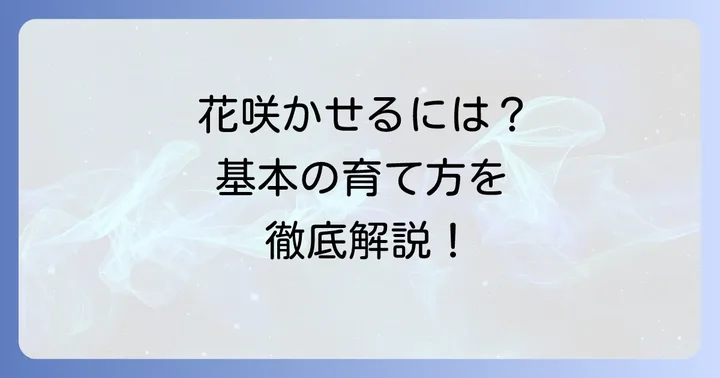 アロマティカスの花を咲かせるための基本の育て方