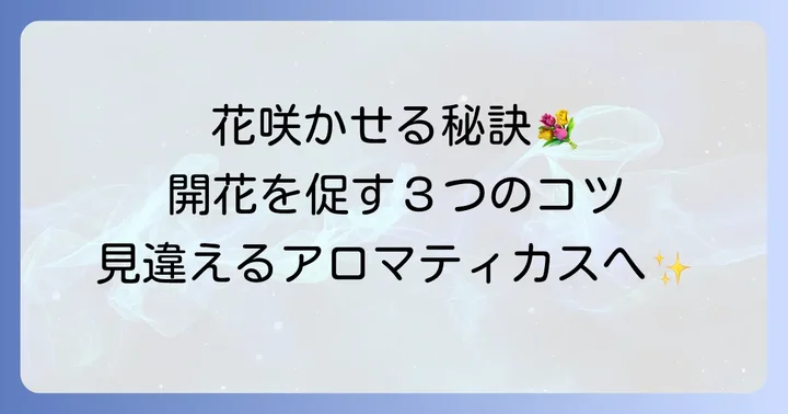 アロマティカスの花を咲かせる具体的なコツ