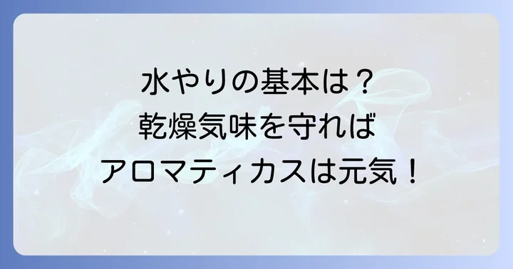 アロマティカスの基本的な水やり頻度とは?