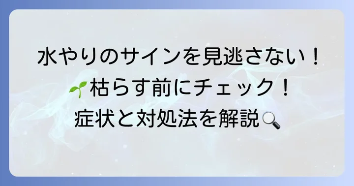 アロマティカスの水やりで失敗しないためのサイン