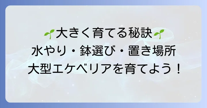 大型エケベリアをさらに大きく育てるコツ