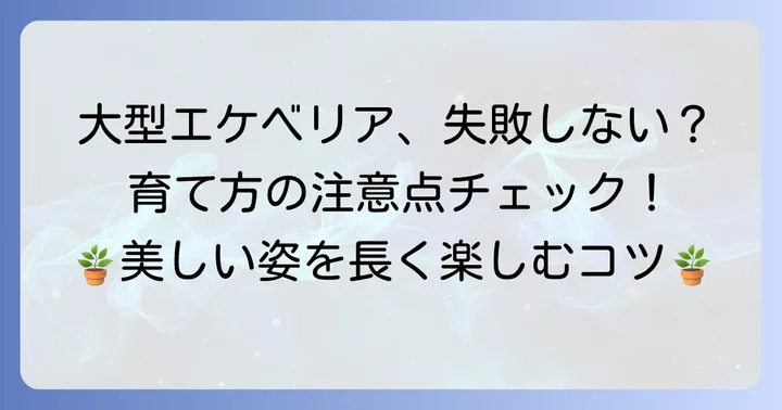 大型エケベリアを育てる上での注意点