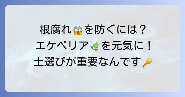 エケベリアの土配合がなぜ重要なのか