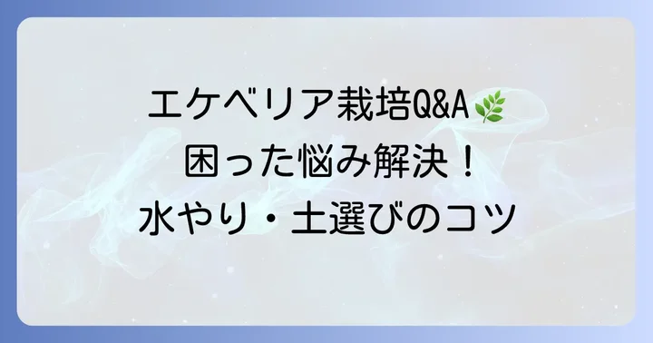 よくある質問