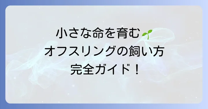 オフスプリングタランチュラの基本的な飼い方