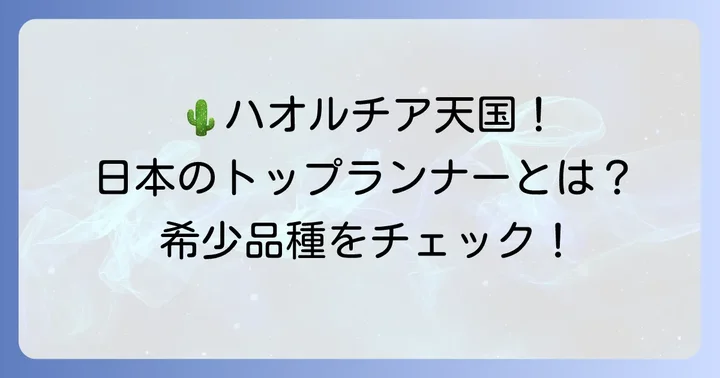 カクタスニシオンラインとは？その魅力と特徴