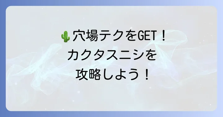 カクタスニシオンラインを最大限に活用するコツ