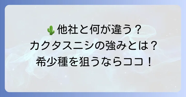 競合オンラインストアとの比較：カクタスニシの強み
