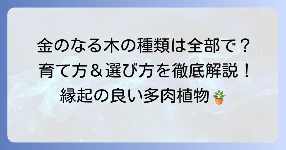 カネノナルキの種類を徹底解説！あなたにぴったりの金のなる木を見つける方法