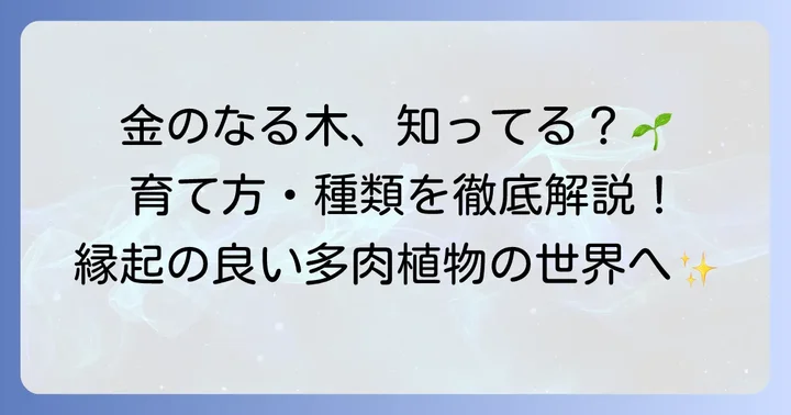 カネノナルキとは?縁起の良い多肉植物の基本を知ろう