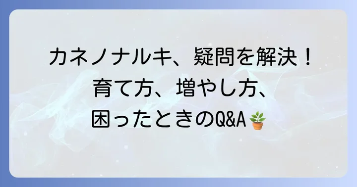 よくある質問