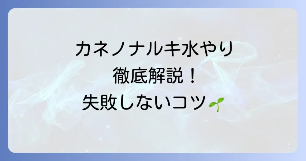 カネノナルキの水やり徹底解説！季節ごとのコツと失敗しない方法