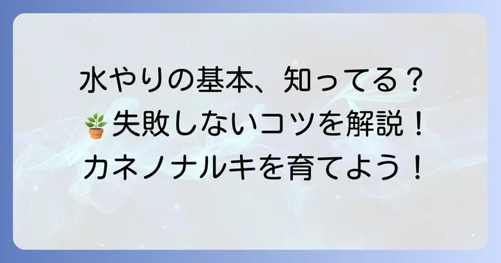 カネノナルキ水やりの基本を知ろう