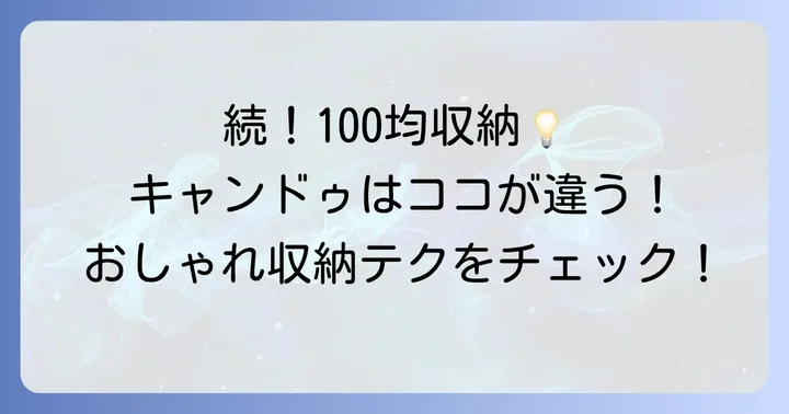 【キャンドゥ他】その他の100均で探すクレンジングタオル収納アイテム