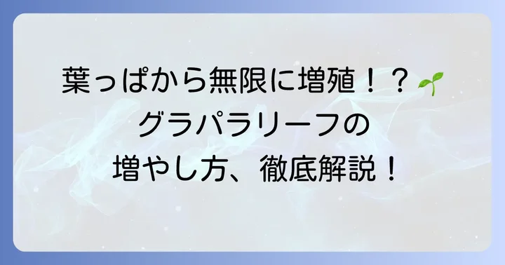 グラパラリーフの増やし方【葉挿し編】