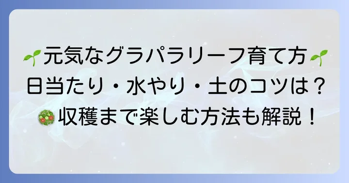増やしたグラパラリーフを元気に育てるための管理方法