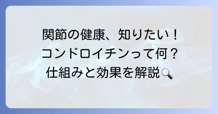 コンドロイチンとは?関節の健康を支える重要な成分