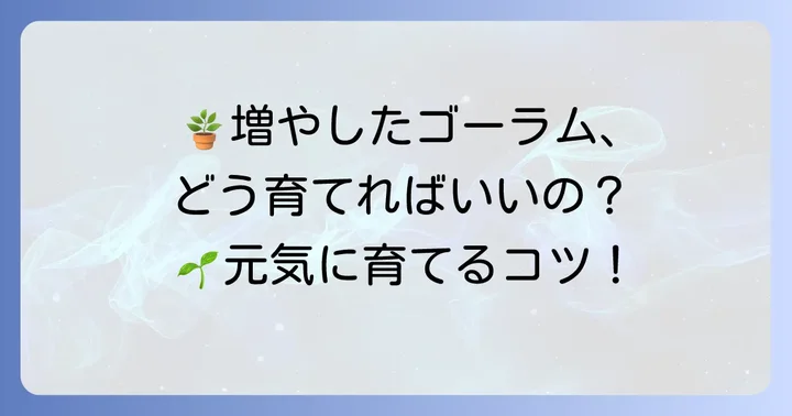 増やしたゴーラムを元気に育てるための管理