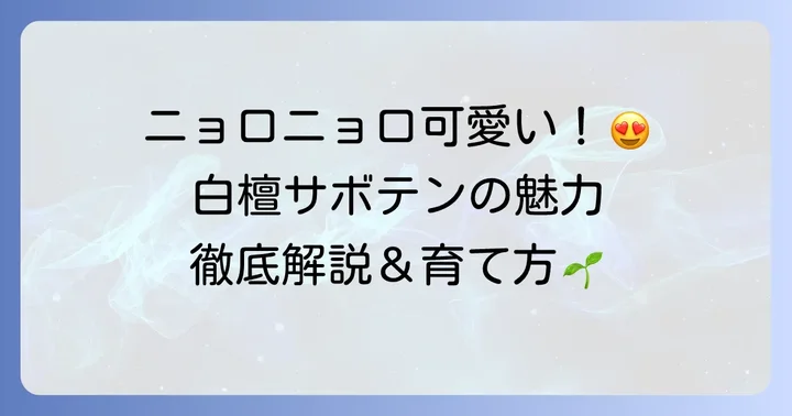 白檀サボテンの魅力と特徴