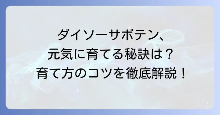 ダイソーのサボテンを元気に育てるコツ