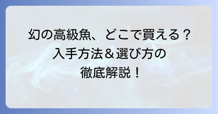 サラサハタはどこで手に入る？購入方法と選び方