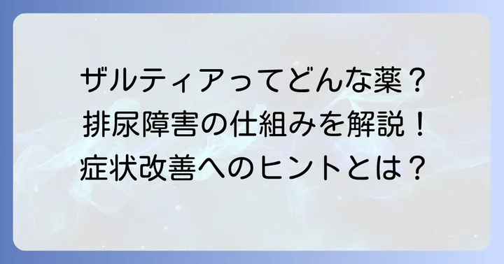 ザルティアとはどんな薬？前立腺肥大症の排尿障害を改善する仕組み