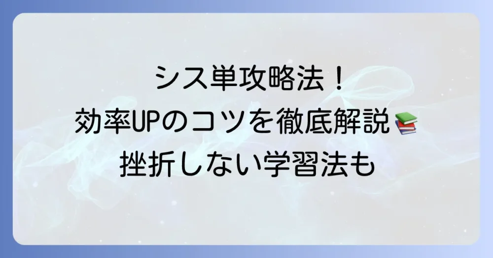 シス単のやり方を徹底解説！効率的な覚え方と挫折しない学習方法