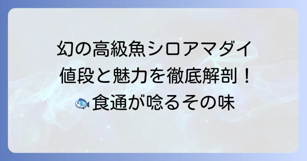 シロアマダイの値段は？高級魚の魅力と購入方法を徹底解説！