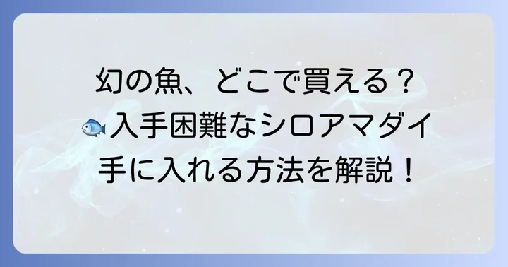 シロアマダイはどこで買える？購入方法を解説