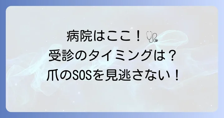 爪が剥がれたら何科の病院に行くべき？受診の目安