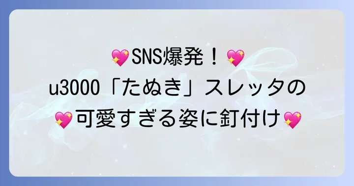 「たぬき」の愛称が広がるファンコミュニティの反応