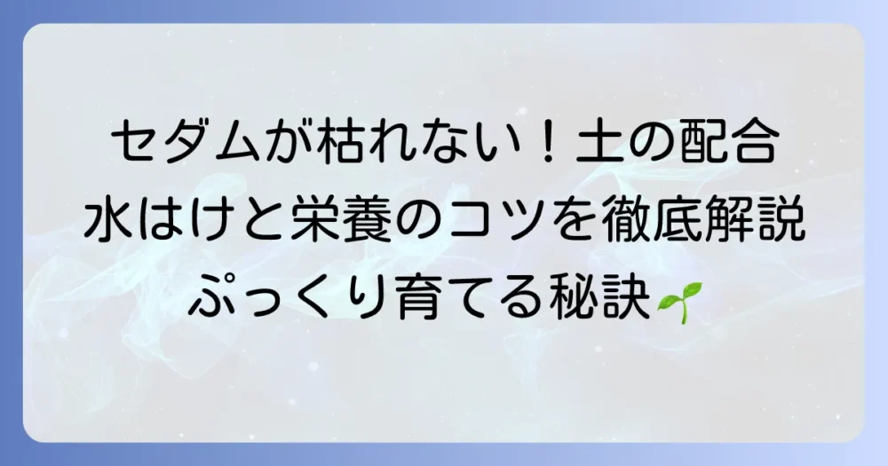 セダムの土配合で失敗しない！水はけと栄養バランスのコツを徹底解説