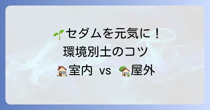 環境別！セダムの土配合を調整するコツ