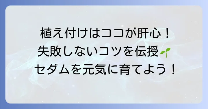 植え付け・植え替え時に気をつけたいこと