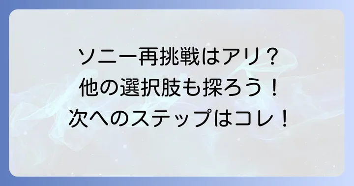 ソニーへの再応募や他の企業への挑戦