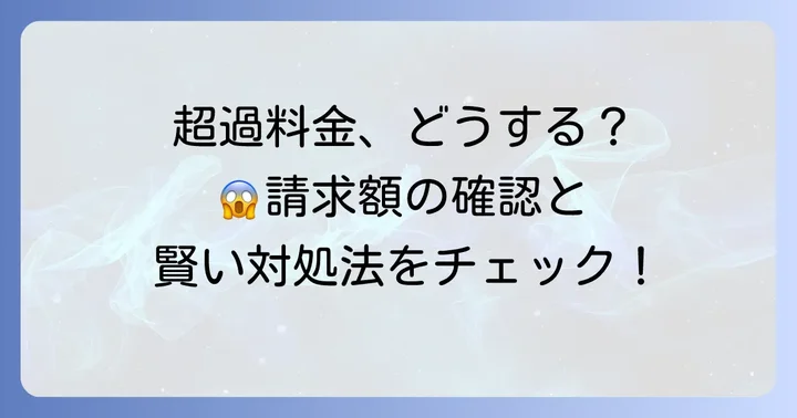 もし超過料金が発生してしまったら？対処法