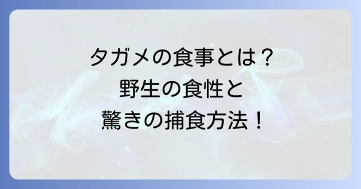 タガメの食べ物は何？野生での食性と捕食の進め方