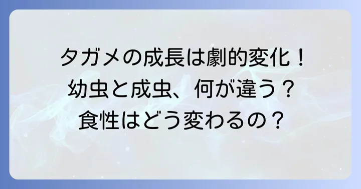 幼虫と成虫で違う？タガメの成長段階と食性の変化