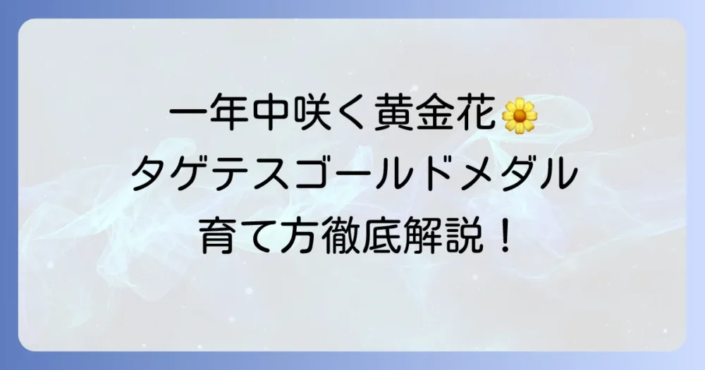 タゲテスゴールドメダル苗の育て方：徹底解説！初心者でも一年中楽しめる黄金の花