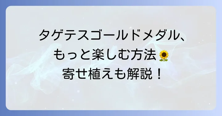 タゲテスゴールドメダル苗をさらに楽しむ方法