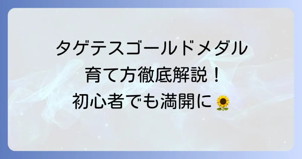 タゲテスゴールドメダルの育て方を徹底解説！初心者でも満開に咲かせる栽培方法