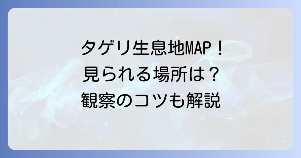 タゲリの生息地を徹底解説！見られる場所と観察のコツ