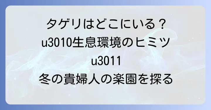 タゲリが好む生息環境とは？