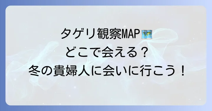 タゲリを観察できる場所と時期