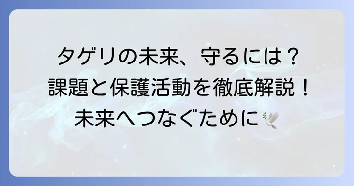 タゲリの生息地が抱える課題と保護活動