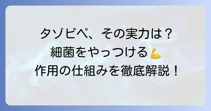 タゾピペの強力な効果と作用の仕組み