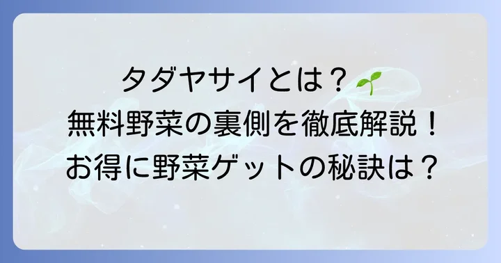 タダヤサイとは？無料野菜の仕組みと基本情報